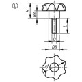 Produktbild von KIPP - STERNGRIFF ÄHNLICH DIN6336 D=M06X40, D1=25, FORM:L, THERMOPLAST SCHWARZ,