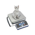 Kern & Sohn Plattformwaage EOB 35kg, 310 x 300 x 55mm Produktbild img2 S