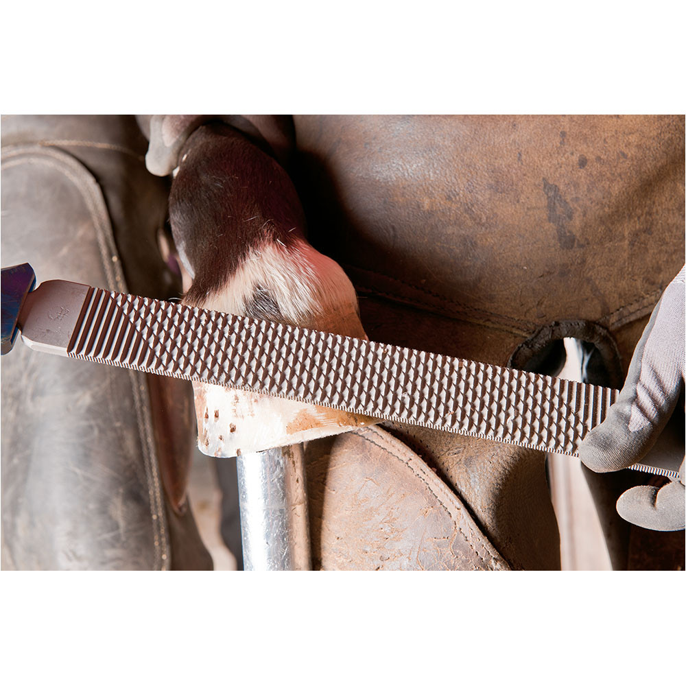 PFERD Hufhobel-Feilenhefte FH 6/1 110mm für flache und halbrunde Feilen, Feilenlänge 350mm Produktbild img3 L
