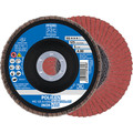Produktbild von PFERD - Fächerschleifsch. gew.125mm A 80 SG-COOL