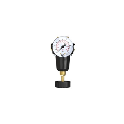 Produktbild von RIEGLER® - Konstant-Druckregler inkl. Manometer, BG 1, G 3/8", 0,5 - 10 bar