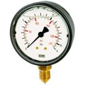 Produktbild von RIEGLER® - Glyzerinmanometer, Kunststoff, G 1/4" unten, -1 / +0,6 bar, Ø 63