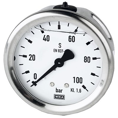 Produktbild von RIEGLER® - Glyzerinmanometer, Edelstahl, G 1/4" hinten zentrisch, 0-60,0 bar, Ø