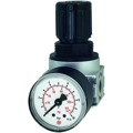 Produktbild von RIEGLER® - Druckregler »multifix-mini« inkl. Manometer, BG 0, G 1/4", 0,2 - 6 b