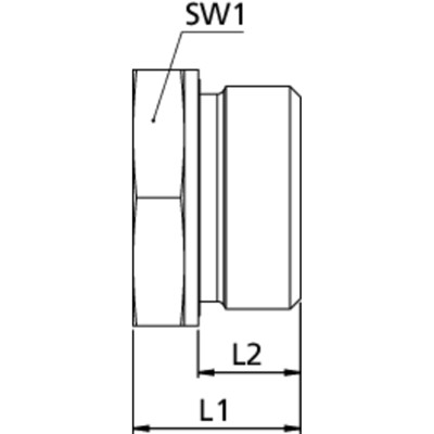 Produktbild von RIEGLER® - Lange Wechselreduzierung, G 3/4" A, G 1" I, Stahl verzinkt