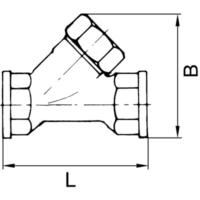 Produktbild von RIEGLER® - Rückschlagventil, Schrägsitzausführung, Edelstahl, G 1.1/4", 0,2 bar