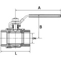 Produktbild von RIEGLER® - Edelstahlkugelhahn, 2-teilig, Innen-/Innengewinde, G 1", DN 25