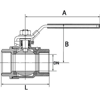 Produktbild von RIEGLER® - Edelstahlkugelhahn, 2-teilig, Innen-/Innengewinde, G 1", DN 25