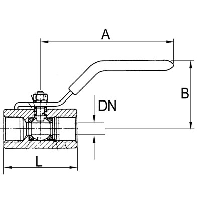 Produktbild von RIEGLER® - Edelstahlkugelhahn 1.4408, 1-teilig, kleine Baureihe, G 3/4", DN 20