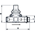 Produktbild von RIEGLER® - Absperrventil, Schlauch - Gewinde, G 1/4", Schlauch 6