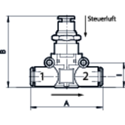 Produktbild von RIEGLER® - Pneumatisch entsperrbares Rückschlagventil »lineonline« Schlauch -Ø 