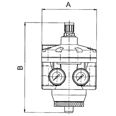 Produktbild von RIEGLER® - Hochleistungsdruckregler mit 2 Manometern, G 1.1/2", 0,2 - 6 bar