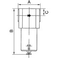 Produktbild von RIEGLER® - Filter für hohe Drücke bis 40 bar, mit Handablassventil, G 1"