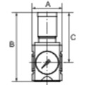 Produktbild von RIEGLER® - Präzisionsdruckregler, durchg. Druckvers. »FUTURA«, BG 1, G 1/4", 0,