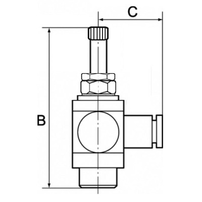 Produktbild von RIEGLER® - Drosselventil, beidseitig, G 3/8", Steckverbindung 8