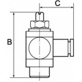 Produktbild von RIEGLER® - Drosselrückschlagventil, Zuluft, G 1/4", Steckverbindung 6