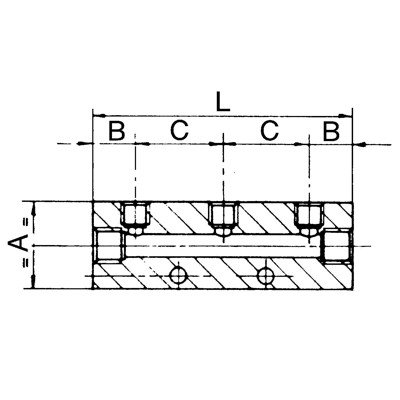 Produktbild von RIEGLER® - Verteilerleiste, Abgänge einseitig, Eingang 2x 1/2", Ausgang 2x 1/4"