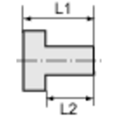 Produktbild von RIEGLER® - Verschlussschraube, Innensechskant, Bund, G 3/4", SW 12, Edelstahl 1