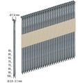 PREBENA® Halbkopfnagel, 3.000 Stück PR31/80NKRI Produktbild img1 S