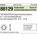 Produktbild von NOBRAND - ART 88129 TECKENTRUP-Sperrkantscheiben m. Kz. C 60 flZnnc SKK 12 flZn