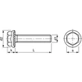 Produktbild von NOBRAND - Sechskant-Flanschschrauben ART 88913, 100 M 5 x 10 flZn/nc/TL/x/480h/