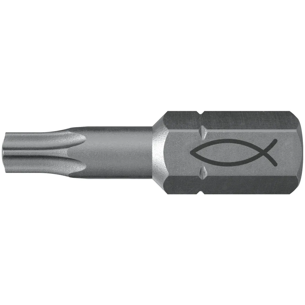 fischer Profi Bit FPB TORX®-Profil Produktbild img1 L