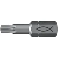 fischer Profi Bit FPB TORX®-Profil Produktbild